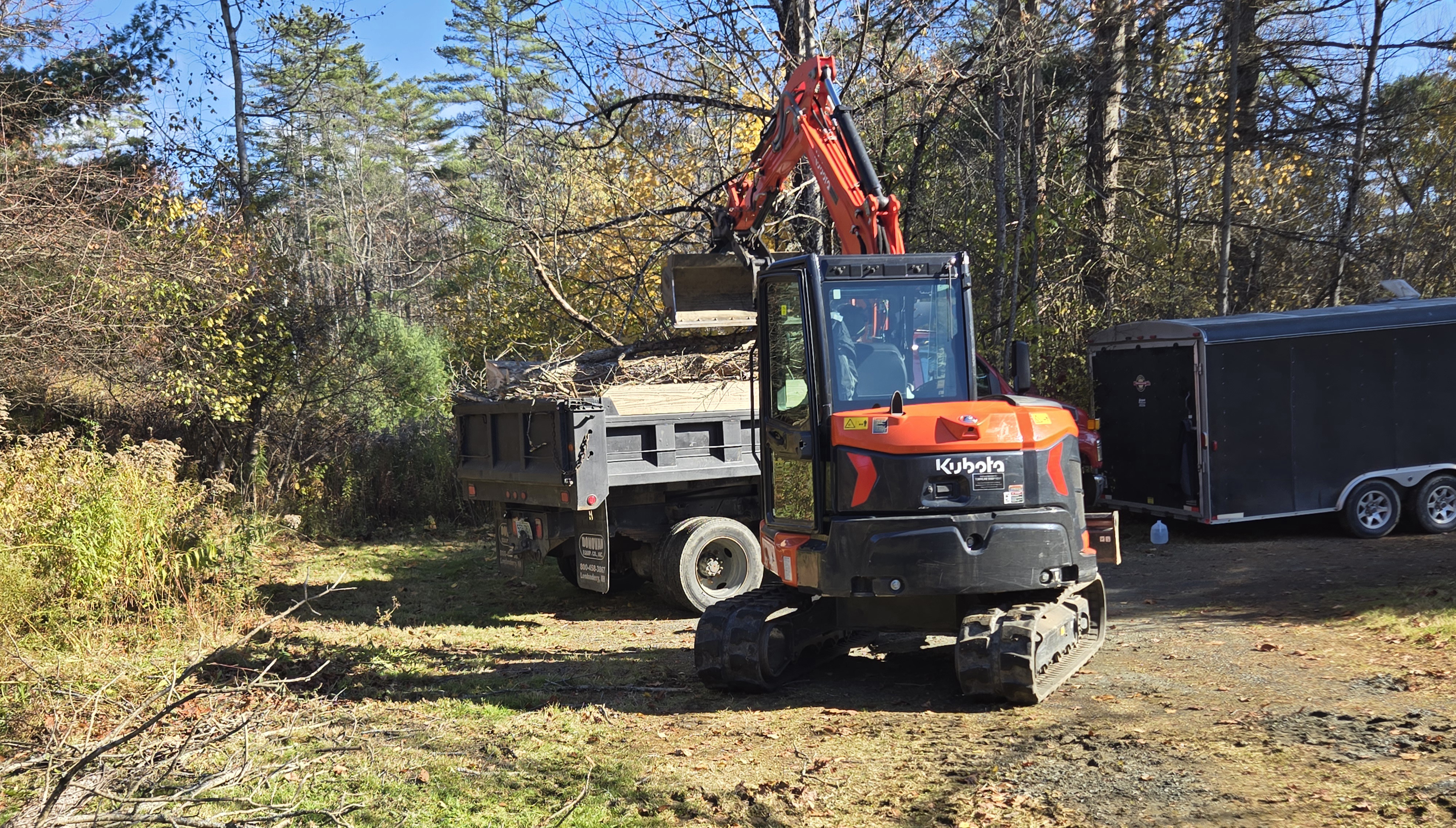 Orange and black Kubota compact excavator on a dirt lot with its hydraulic boom extended near tree branches, fall foliage and forest surroundings, with a white utility truck to the left and a black trailer to the right during an active tree removal or land clearing operation.